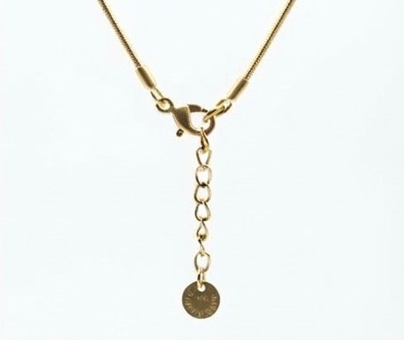 Collar Dorado de Cadena Serpiente con Colgante de Corazón Negro | Collar de Acero Inoxidable