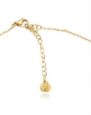 Collar Dorado con Colgante de Libélula | Colgante de Acero Inoxidable